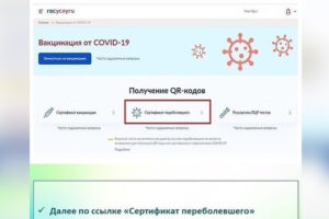 Минздрав РФ продлил действие сертификатов о перенесенном COVID-19 до года