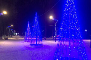 Скверу Энергетиков в Брянске добавили светящихся ёлок
