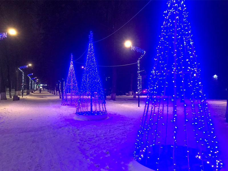 Скверу Энергетиков в Брянске добавили светящихся ёлок