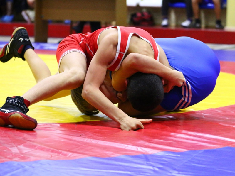 Брянские борцы поучаствовали в одном турнире с олимпийским чемпионом