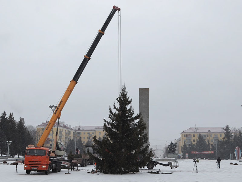 В Брянске установили первую живую новогоднюю ёлку — на площади Партизан