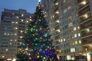 В Брянске назвали победителей конкурса на лучшее новогоднее украшение дворов