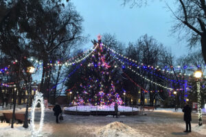 В Брянской области отменили развлекательные мероприятия у ёлок в новогоднюю ночь