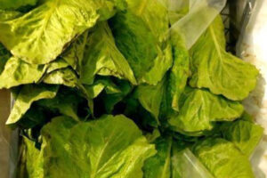 В Брянской области развернули 7,7 тонн турецкого салата с вредителями