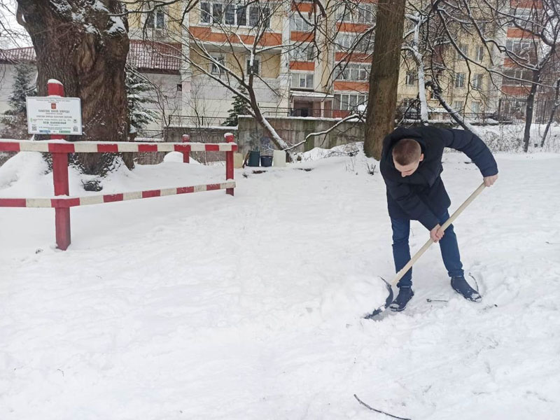 Брянские лесники расчистили снег у «Ясеня-великана»