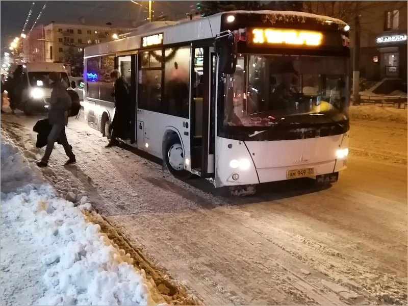 Брянские гаишники выписали городским властям акт о наличии мешающих пешеходам снежных валов