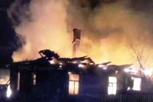 За три недели 2022 года в Брянской области в пожарах погибли восемь человек