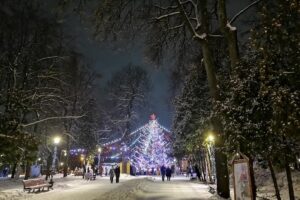 Половине жителей Брянской области не хватило новогодних каникул, чтобы отдохнуть от работы, две трети не покидали в Новый год регион