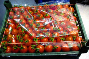 В Брянской области не пропустили в Москву 20 тонн зараженных томатов