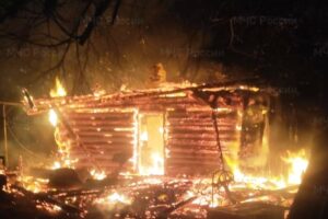 В дятьковском Сельцо огонь уничтожил жилой дом