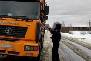 С начала года в Брянске на нарушении ПДД попались более 50 водителей большегрузов — ГИБДД