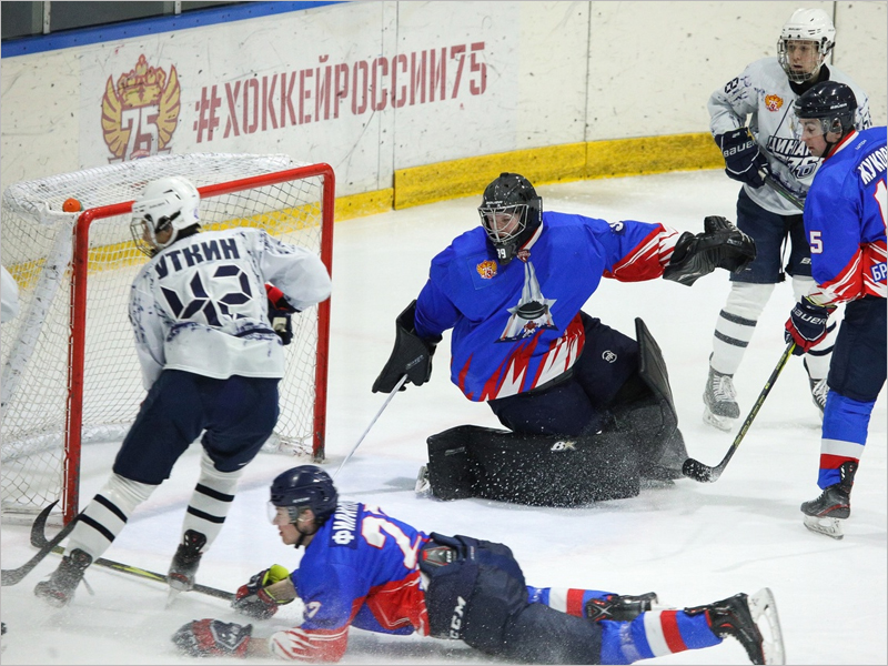 Победная серия хоккейного «Брянска» прервалась на шестом матче