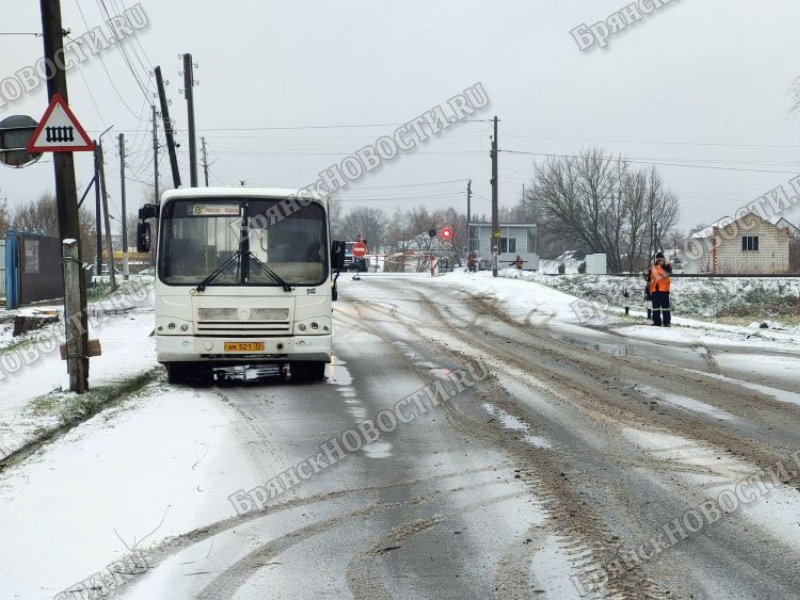 В Новозыбкове выросла стоимость проезда в общественном транспорте