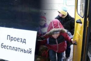 В Брянской области на бесплатный проезд многодетных семей направили 33 млн. рублей