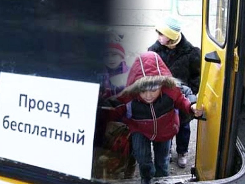 В Брянской области на бесплатный проезд многодетных семей направили 33 млн. рублей