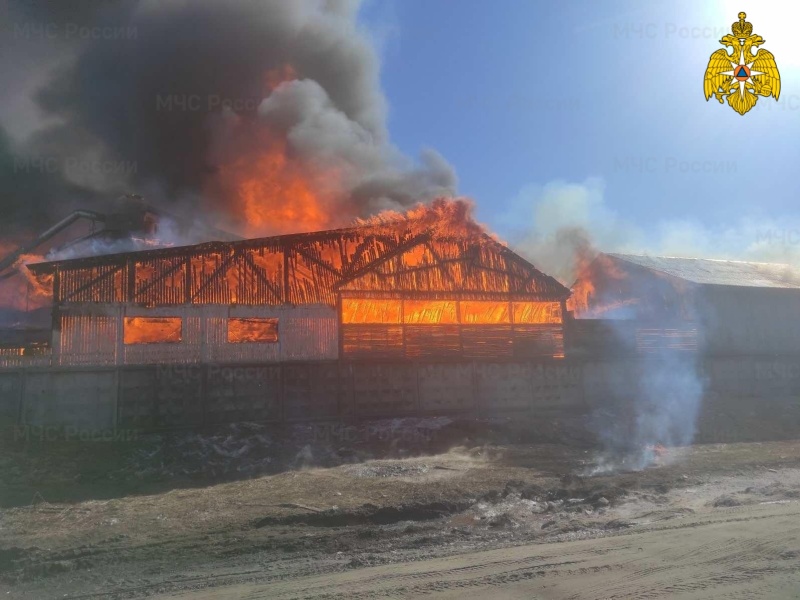 В Брянске сгорело деревообрабатывающее предприятие, площадь пожара почти 2,5 тыс. квадратных метров