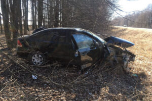 В Брянской области ещё один водитель из-за плохого самочувствия уехал в дерево. Он и пассажирка госпитализированы