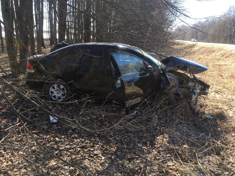 В Брянской области ещё один водитель из-за плохого самочувствия уехал в дерево. Он и пассажирка госпитализированы