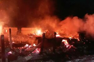 Пожары с начала года унесли в Брянской области почти 30 жизней