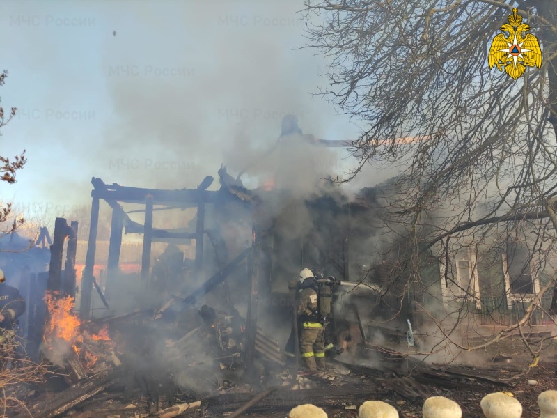 В пожаре в посёлке Нетьинка под Брянском погибла престарелая женщина