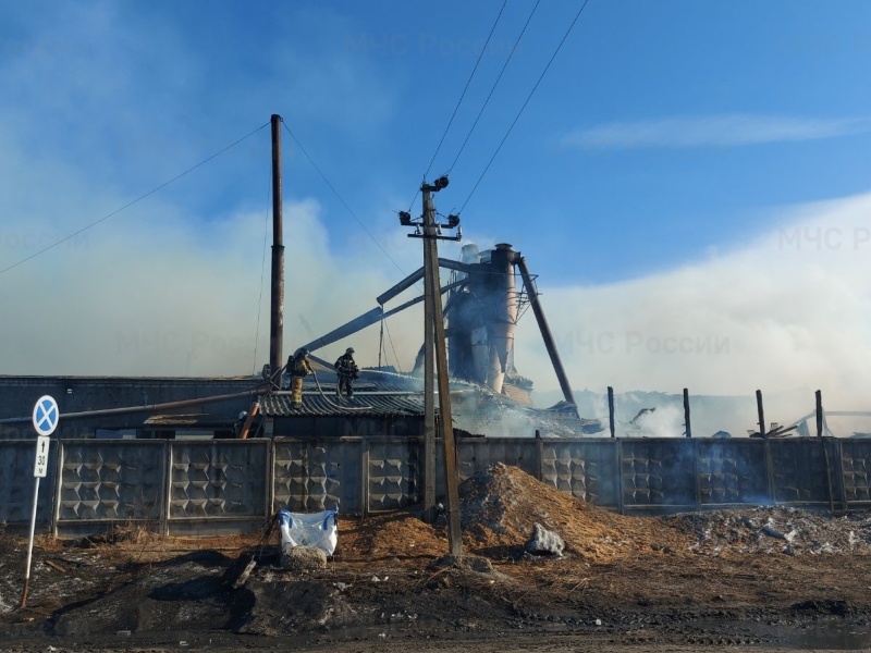 Пострадавших на сгоревшем деревообрабатывающем предприятии в Брянске нет – ГУ МЧС