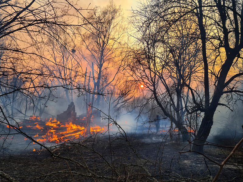 Пожар в Чернобыльской зоне отчуждения не создал угрозу безопасности Брянской области — МЧС