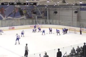 Хоккейный «Брянск» не сумел победно завершить первый раунд плей-офф дома