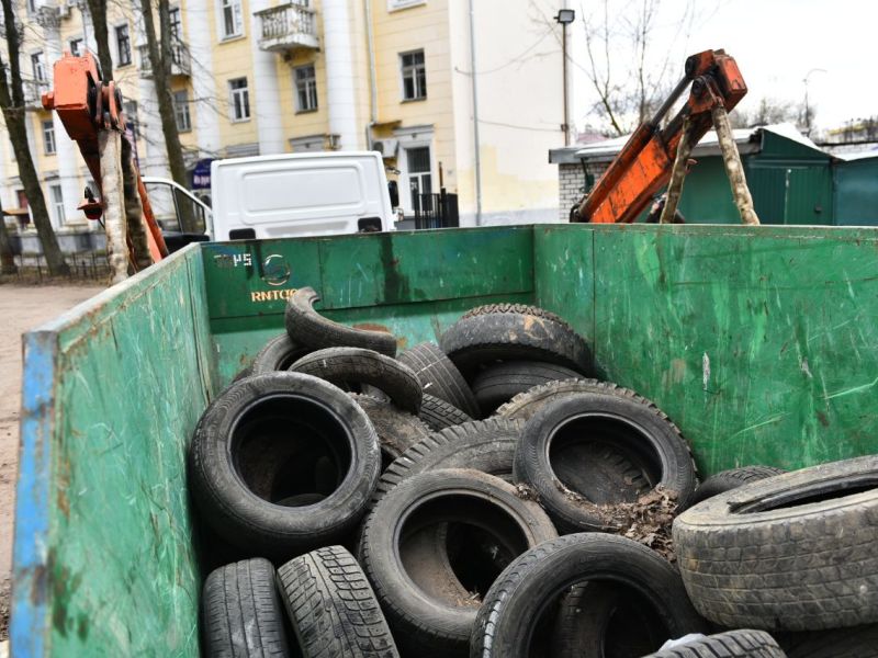 Брянские мусорщики призвали до 16 апреля спасать бобров