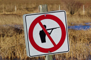 Брянские власти напомнили, что любительская и спортивная охота в регионе по-прежнему под запретом