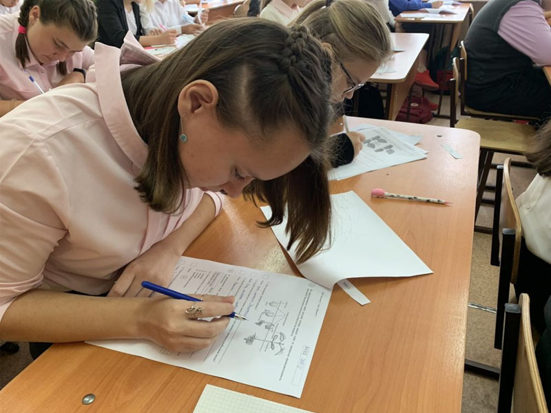 Рособрнадзор перенес всероссийские проверочные работы в школах на осень
