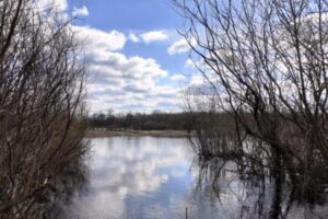 Паводок-2022: Болве в Брянске осталось 10 см для выхода на пойму