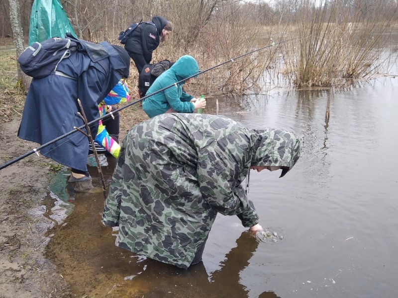 В «Брянском лесу» защитой проектов завершилась детская экологическая экспедиция