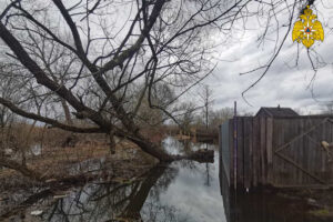 Паводок-2022: в Брянске затопило приусадебный участок по улице Черниговской. В прогнозе ещё семь