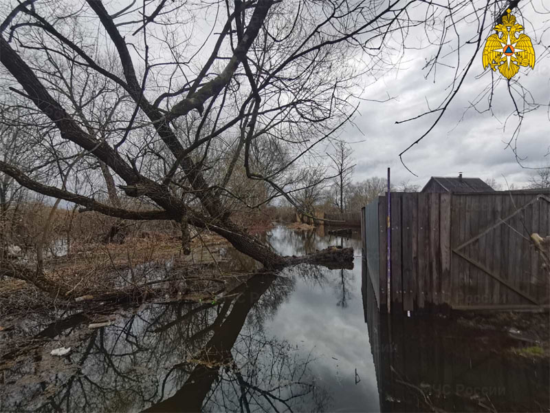 Паводок-2022: в Брянске затопило приусадебный участок по улице Черниговской. В прогнозе ещё семь