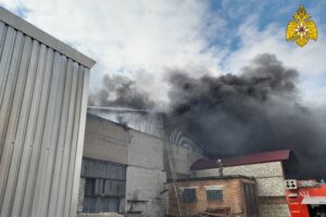 В Почепе сгорела пилорама. Борьба с огнём продолжалась два часа