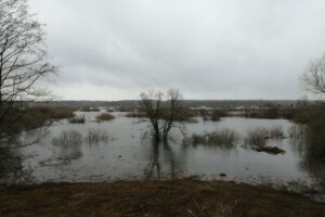 Паводок-2022: Десна в черте Брянска за день поднялась ещё почти на полметра
