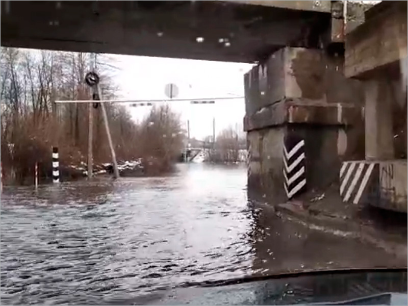 Паводок в Брянске: дорога в Радицу-Крыловку затоплена