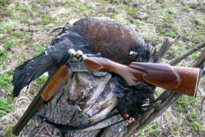 В Брянской области установлен полугодовой запрет на охоту на приграничных территориях