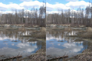 Прорыв плотины уничтожил ещё одно озеро в окрестностях Брянска