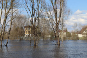 Пострадавшим от паводка в Брянске будет оказана помощь — горадминистрация