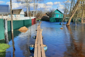 В Брянской области число затопленных домов выросло до 58-и. «Большая вода» медленно смещается к Трубчевску