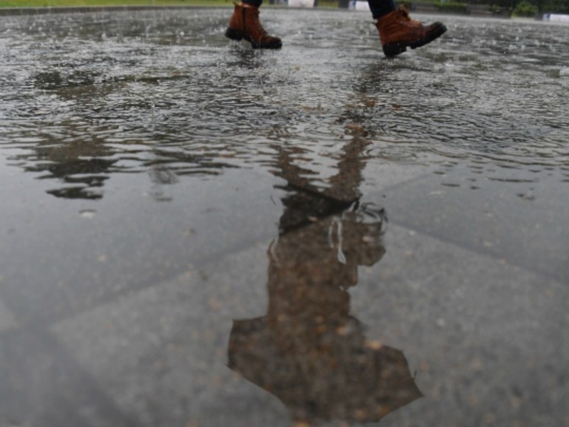 Самый мокрый день приходил вчера: в Брянске  за день выпало осадков вчетверо больше, чем за весь март
