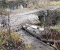 В Стеклянной Радице под Брянском прорвало плотину на лесном озере