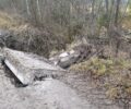 В Стеклянной Радице под Брянском прорвало плотину на лесном озере