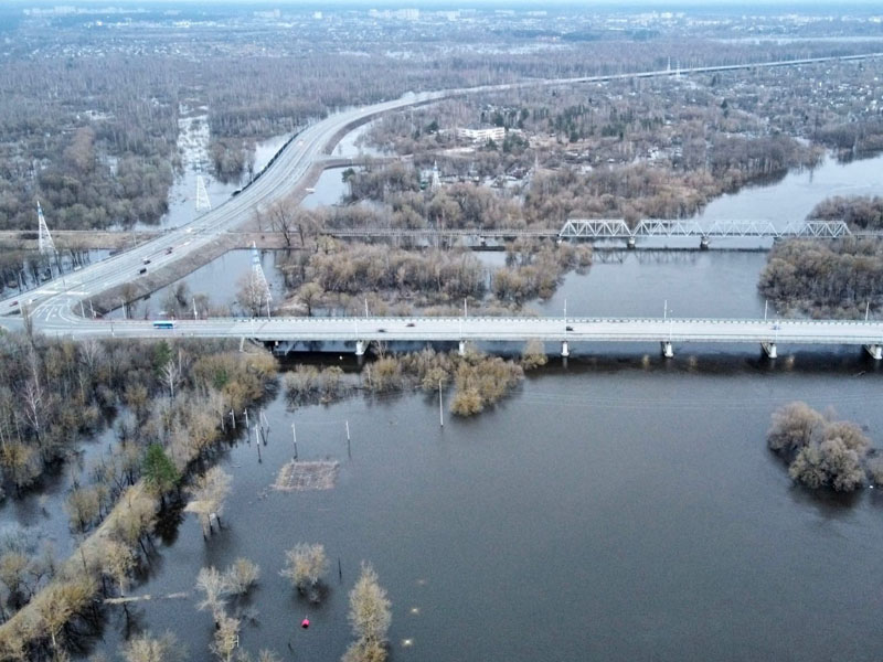 В Брянске затоплено 17 жилых домов, «большая вода» будет стоять ещё неделю — МЧС