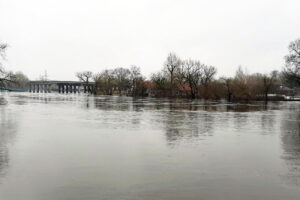 Паводок-2022: число затопленных домов в Брянске и окрестностях перевалило за два десятка