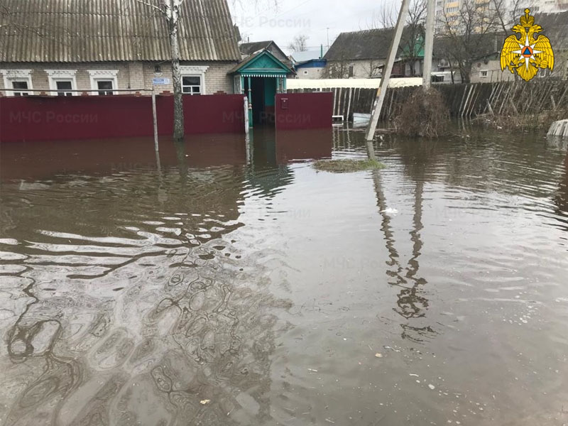 В Брянской области затопило более 50 жилых домов. Подъём воды продолжается