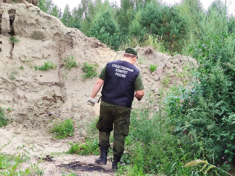 Брянский предприниматель незаконно накопал на сельхозземлях под Новозыбковом песка на 49 млн. рублей