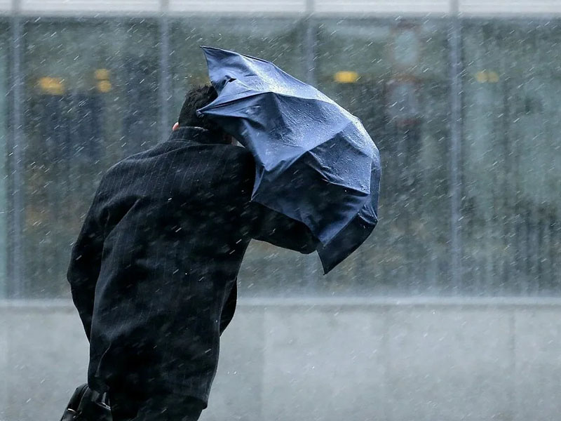 Брянских жителей предупредили о сильных дождях и шквалистом ветре 12 апреля