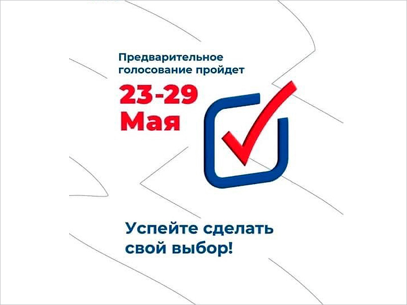 На электронных праймериз «ЕР» определяется кандидат от партии на довыборах в Брянскую облдуму